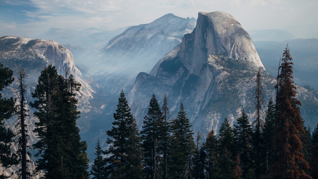 En bild av Yosemite Sam